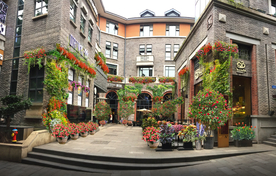 民宿花境景观设计效果图