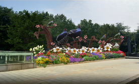 美丽乡村特色花境效果图