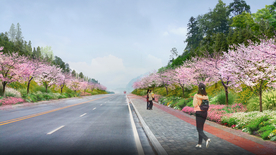 樱花道路绿化景观设计