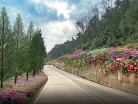 乡村道路绿化景观设计