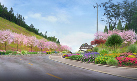 乡村道路绿化花境设计