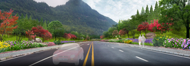 乡村道路绿化花境设计
