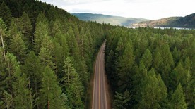 航拍森林里的公路美景