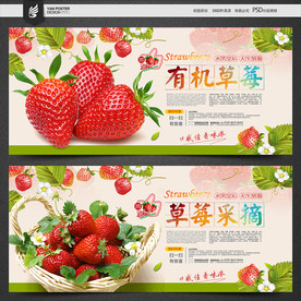 草莓采摘