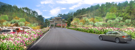 道路花境景观设计效果图