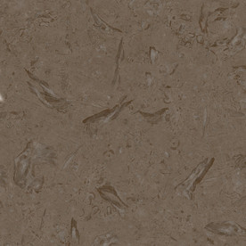 化石 质感石材纹理 300分辨