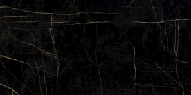 黑金花 金龙黑高清瓷砖设计