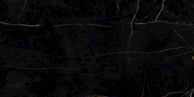 黑金花 金龙黑高清瓷砖设计