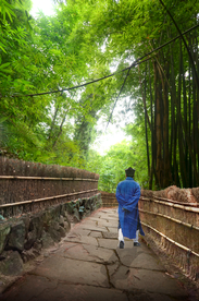 竹林步道景观设计效果图