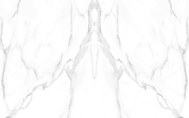 中国风鱼肚白纹理 TIF合层