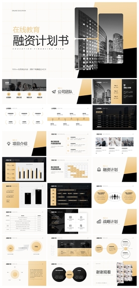 商务会议汇报项目介绍PPT