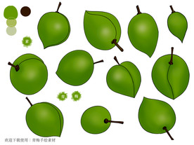 青梅手绘素材