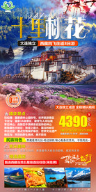 桃之夭夭 林芝桃花节 布达拉宫