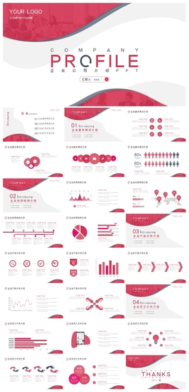 商务会议汇报项目介绍PPT