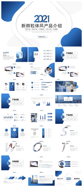 商务会议汇报项目介绍PPT