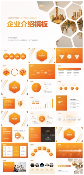 商务会议汇报项目介绍PPT
