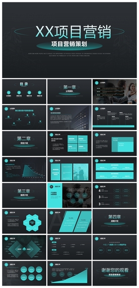 商务会议汇报项目介绍PPT