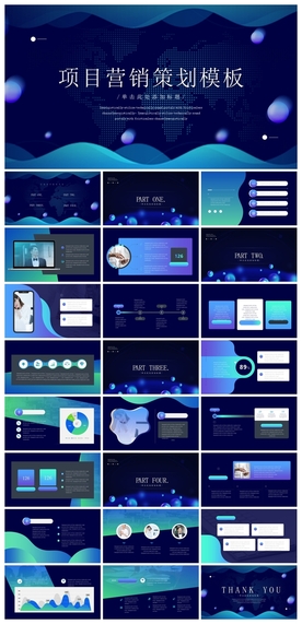 商务会议汇报项目介绍PPT