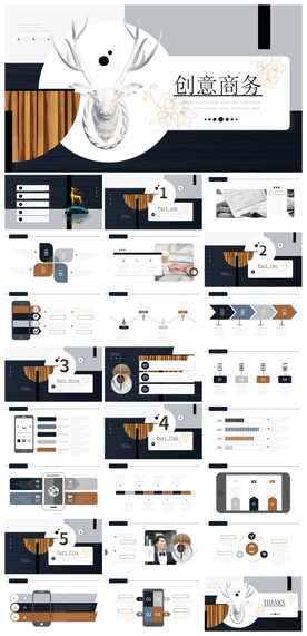 商务会议汇报项目介绍PPT