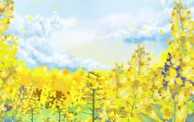 卡通装饰金色油菜花