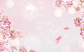 卡通装饰桃花背景