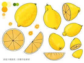 柠檬手绘素材