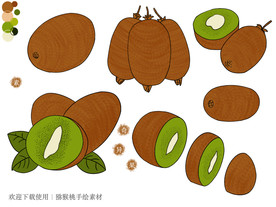 奇异果手绘素材