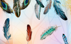 羽毛 现代装饰画 TIF分层