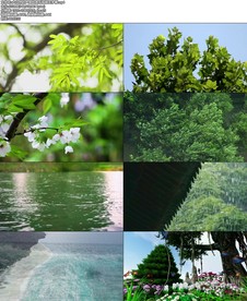 大自然的声音纯音乐视频无字幕