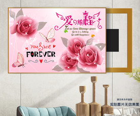 爱的旅程玫瑰花电表箱装饰画