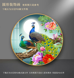 富贵孔雀装饰画