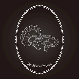 灵芝手绘 灵芝线描 灵芝插画