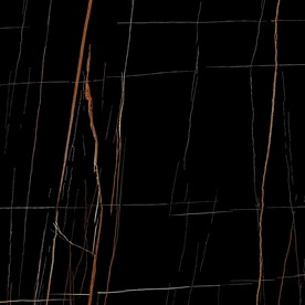 黑金花 金龙黑高清瓷砖设计