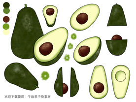 牛油果手绘素材