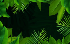 绿色植物装饰背景