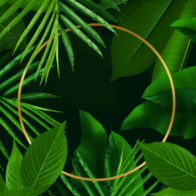 绿色树叶圆形背景