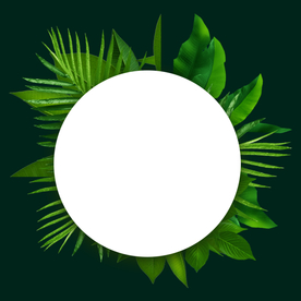 绿色树叶植物边框元素