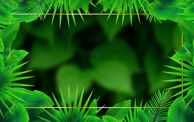 绿色装饰边框背景