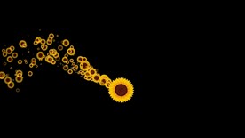 向日葵拖尾粒子特效视频