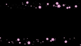 花朵遮罩边框前景装饰视频带通道