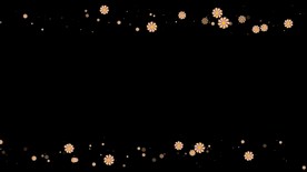 菊花遮罩边框前景装饰视频带通道