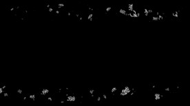 十二生肖甲骨文遮罩边框前景装饰