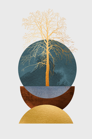 几何发财树玄关