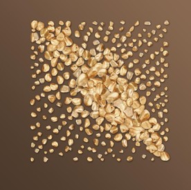 晶瓷现代金色转运鹅卵石装饰画