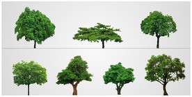 树素材