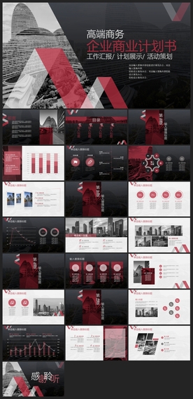 商务会议汇报项目介绍PPT