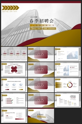 商务会议汇报项目介绍PPT