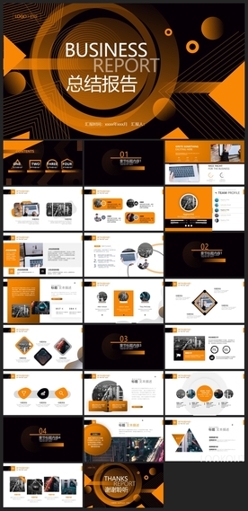 商务会议汇报项目介绍PPT