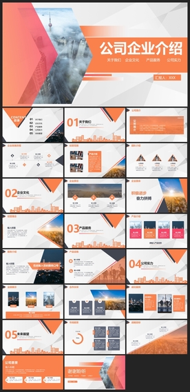 商务会议汇报项目介绍PPT