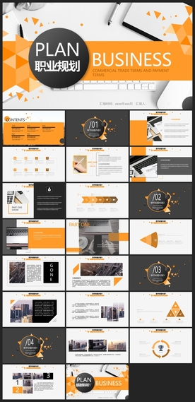 商务会议汇报项目介绍PPT